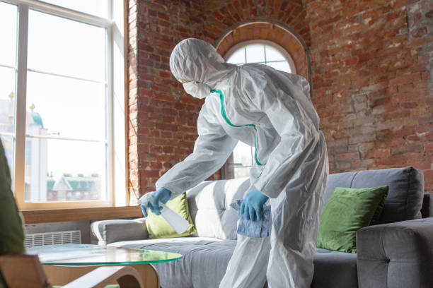 Why You Should Choose Our Mold Remediation Services in Muttontown, NY